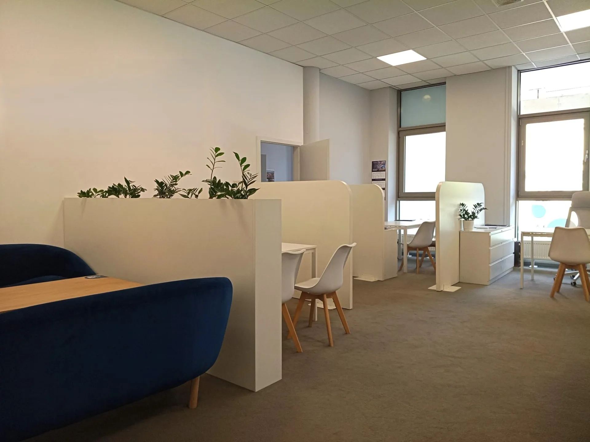 Biuro w centrum miasta